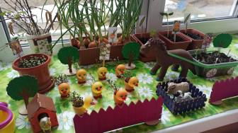 В нашем детском саду прошёл смотр-конкурс среди групп &quot;Огород на окне&quot;.